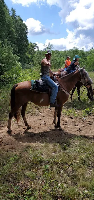 Waterloo Horse Camp & Staging Area 4