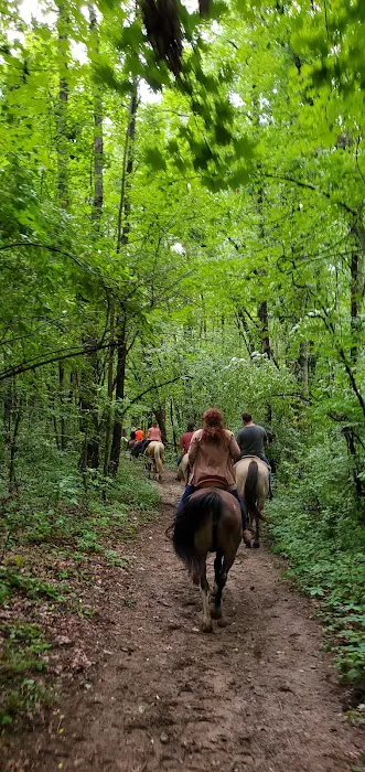 Waterloo Horse Camp & Staging Area 5