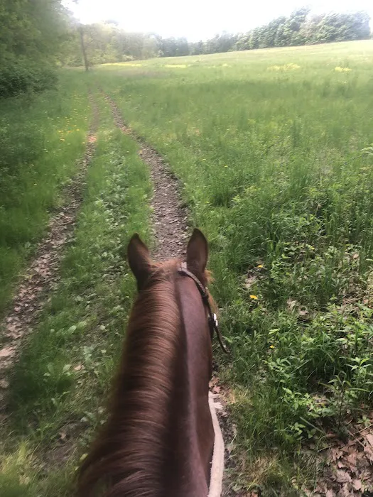 Waterloo Horse Camp & Staging Area 10