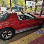 Shadytree Mobile Home & RV Park