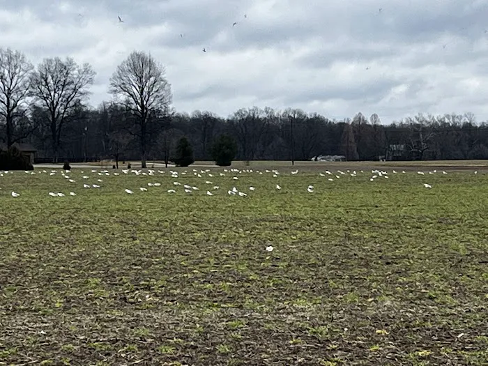 Norman Conservation Club 1