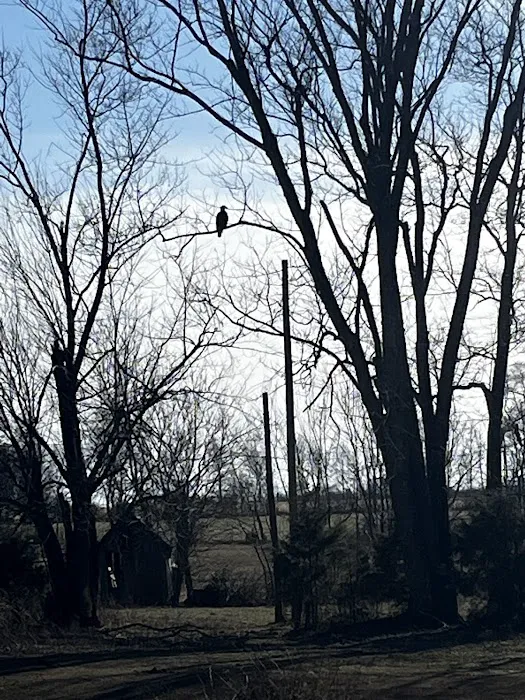 Norman Conservation Club 5