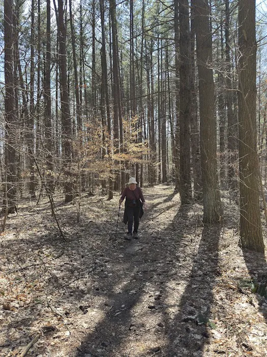 Hickory Ridge Horse Camp 1