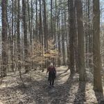 Hickory Ridge Horse Camp