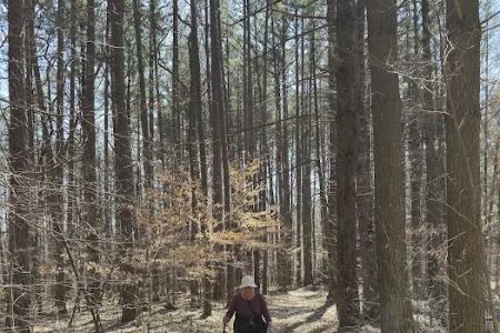 Hickory Ridge Horse Camp