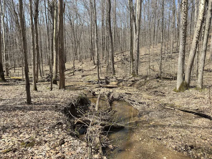 Hickory Ridge Horse Camp 6