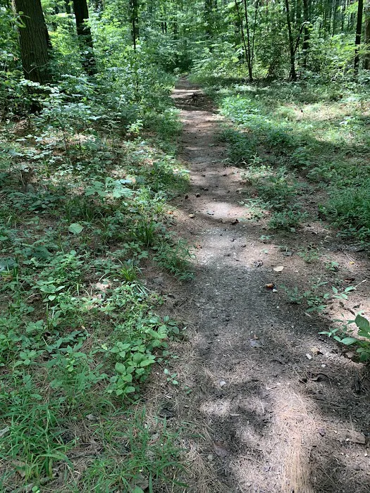 Hickory Ridge Horse Camp 9