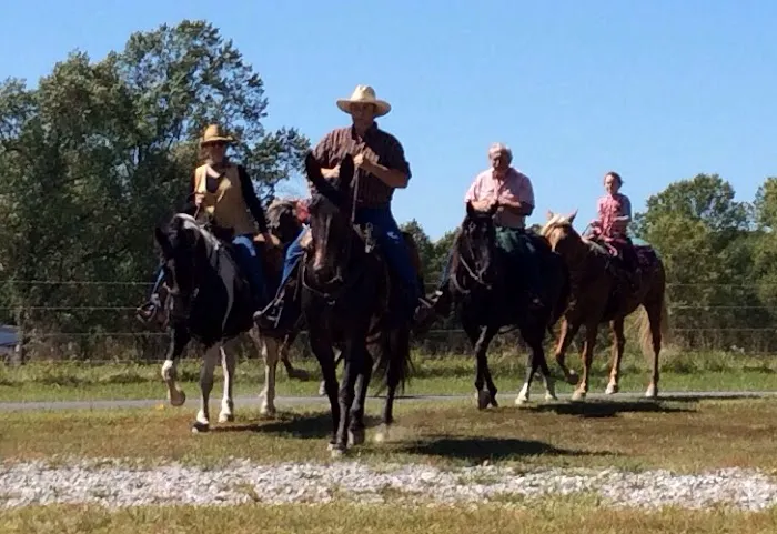 Harden's Horse Camp 9