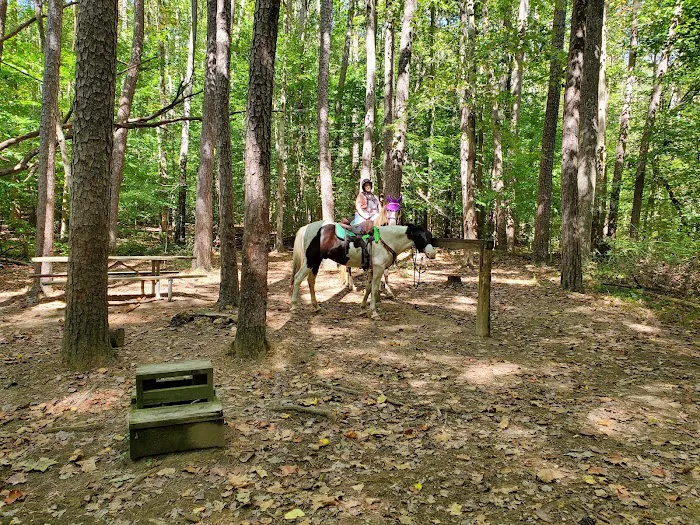 Hoosier Horse Camp 1