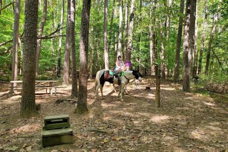 Hoosier Horse Camp
