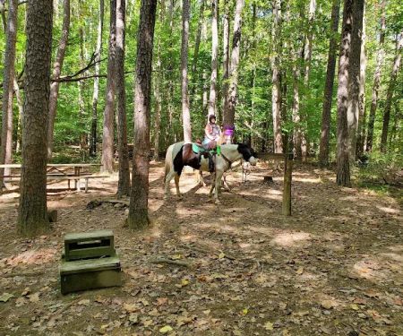 Hoosier Horse Camp