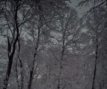 Old Mill Canoe Rental's Blue River Retreat- Primitive Camping