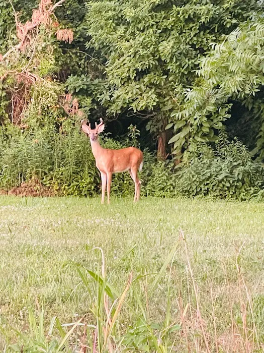 Oakridge Campground, LLC 3