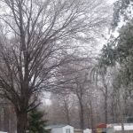 Trail A Way Mobile Home & RV Park