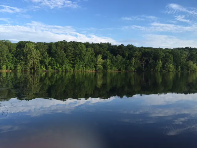 Tipsaw Recreation Area 1