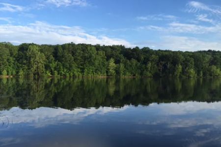 Tipsaw Recreation Area