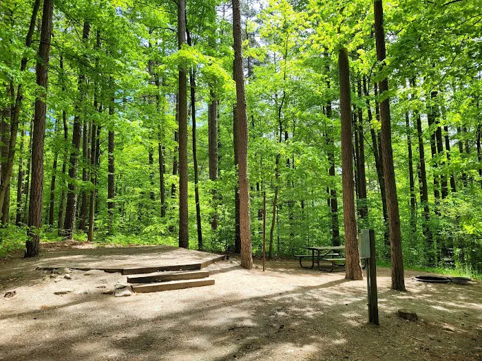 Indian-Celina Lakes South Slope Campground 3