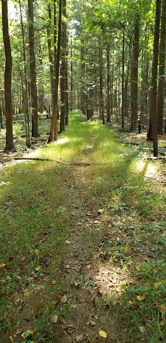 Indian-Celina Lakes North Face Campground 5