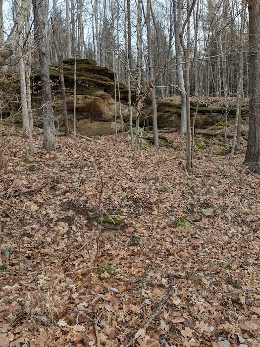 Indian-Celina Lake Recreation Area 8