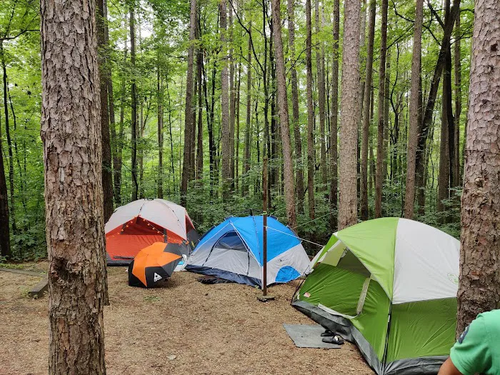 Indian-Celina Lake Recreation Area 6