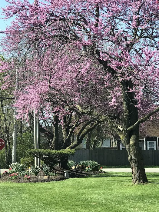 Oak Park Estates 1