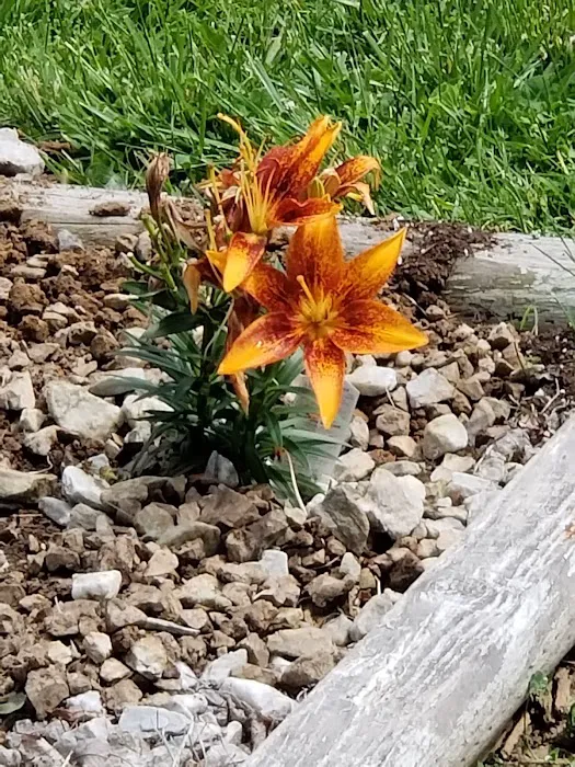 Rend Lake Mobile Home Park 9
