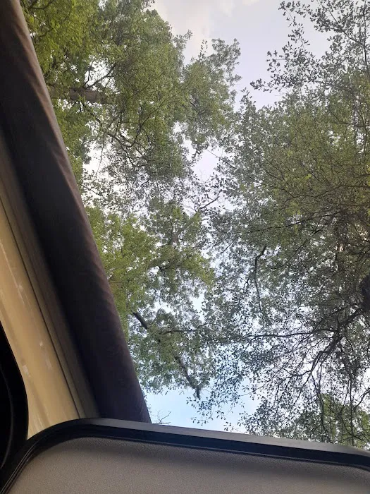 Campsite 42 2