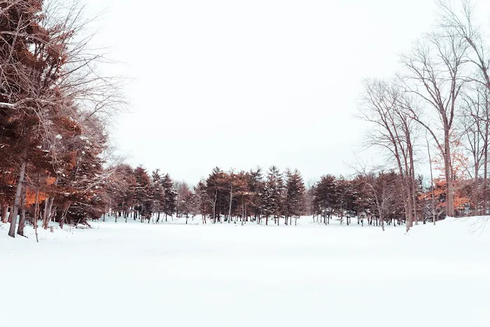 CERA Sports Park & Campground 5
