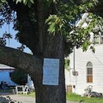 Davis Mobile Home Park