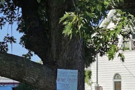 Davis Mobile Home Park