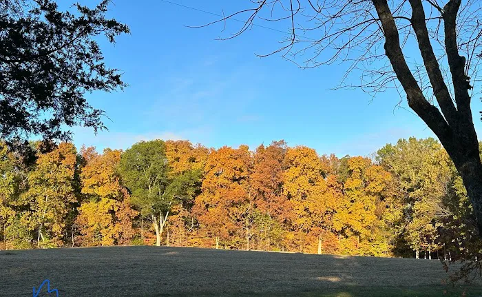 Gassaway Lake Campground 1