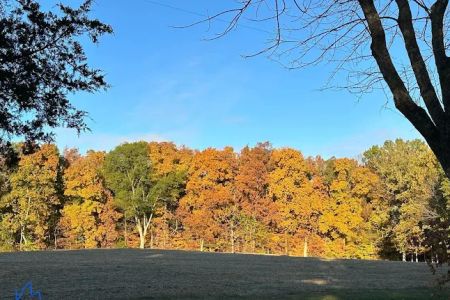 Gassaway Lake Campground