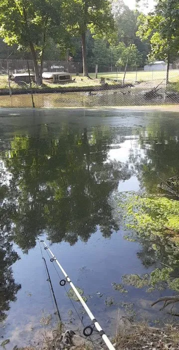 Gassaway Lake Campground 8