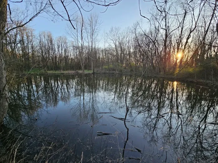 Hodapp Holler 3