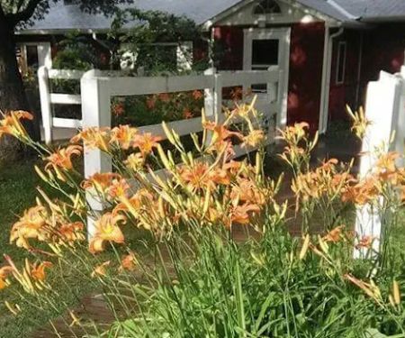 Hannon's Camp America