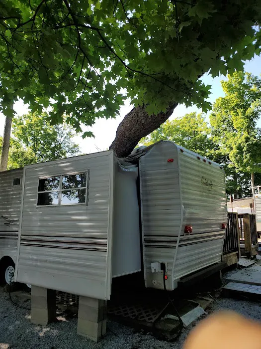 Fox Run Campground 5