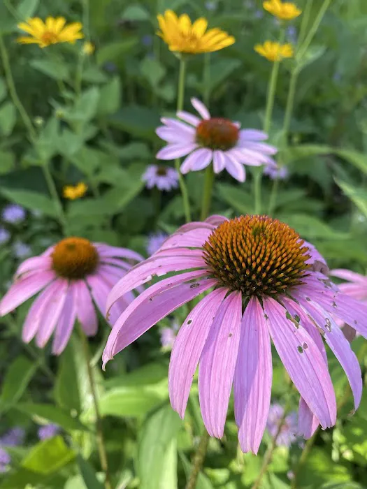 Linn Grove Park 4