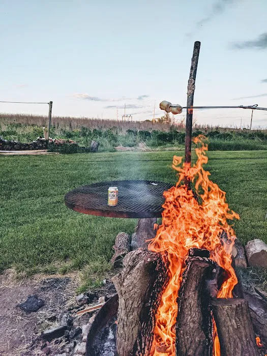Busch Light Paradise 6
