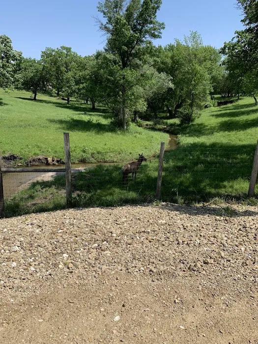 Gehrke's Lake and Campground 6