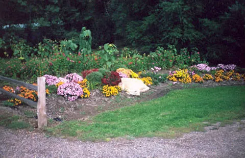Hixton / Alma Center KOA Holiday 7