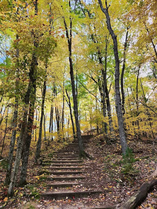 Wildcat Mound Park 5