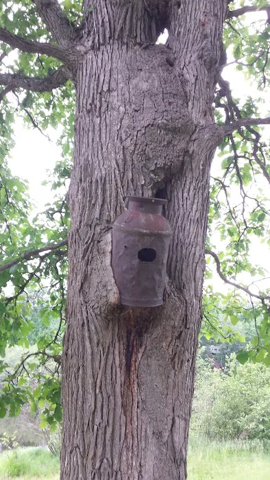 Snyder County Park & Campground 4