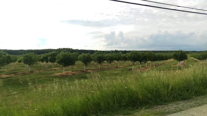 Hy-Land Court RV Park and Campground 7