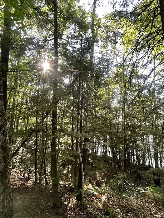 Richardson Lake Campground 5