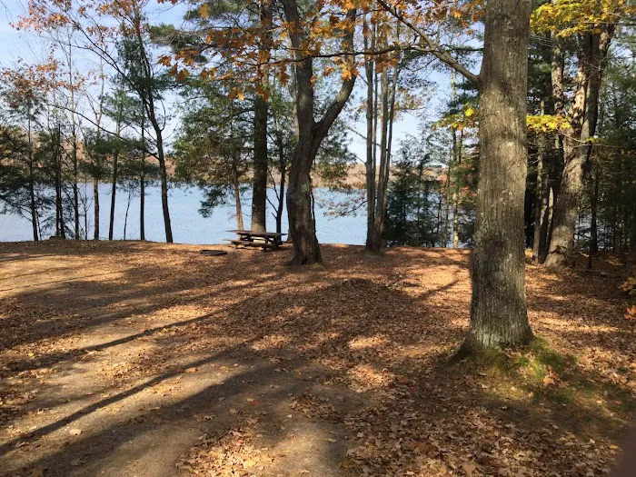 Himley Lake Campsites 3
