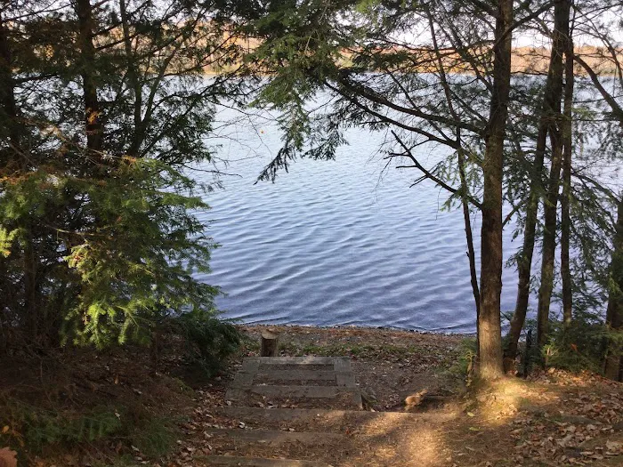 Himley Lake Campsites 6