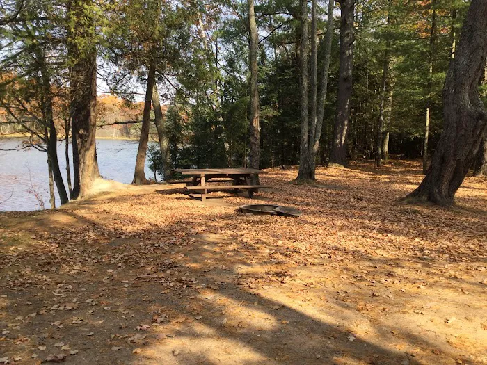Himley Lake Campsites 4