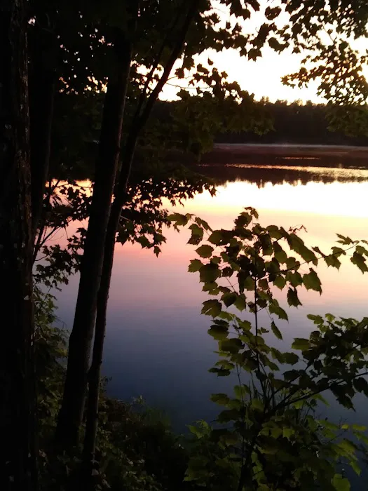 Himley Lake Campsites 5