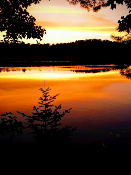 Himley Lake Campsites 7