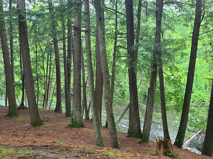 McClintock Campground 5
